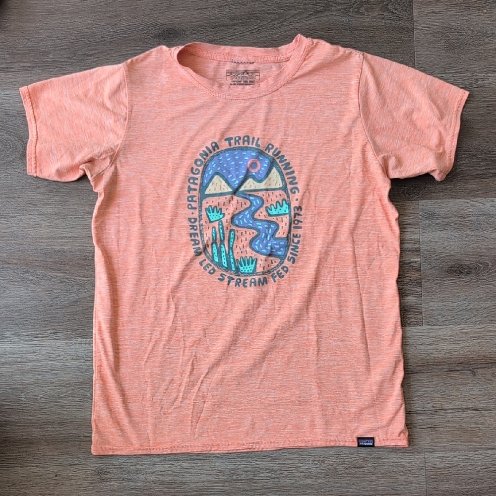Patagonia Capilene Cool Graphic Tee
